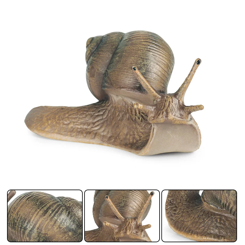 Oenux Wildes Insekt Tiere Schnecken Wachstumszyklus Modell Gartendekoration Figuren PVC Miniatur Niedliche Bildung Kinderspielzeug – Detail 8