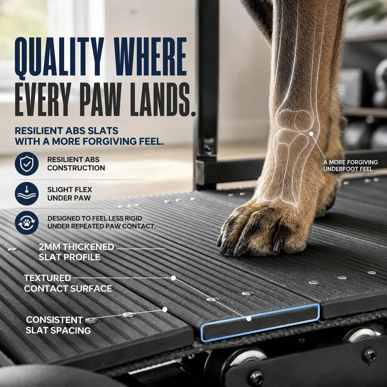 Wholesale Non-Electric Doggy Exercise Treadmill Indoor Sport Slatmill For Dogs Training Supplies Dog Running Walking Machine