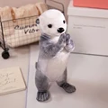 Sea otter