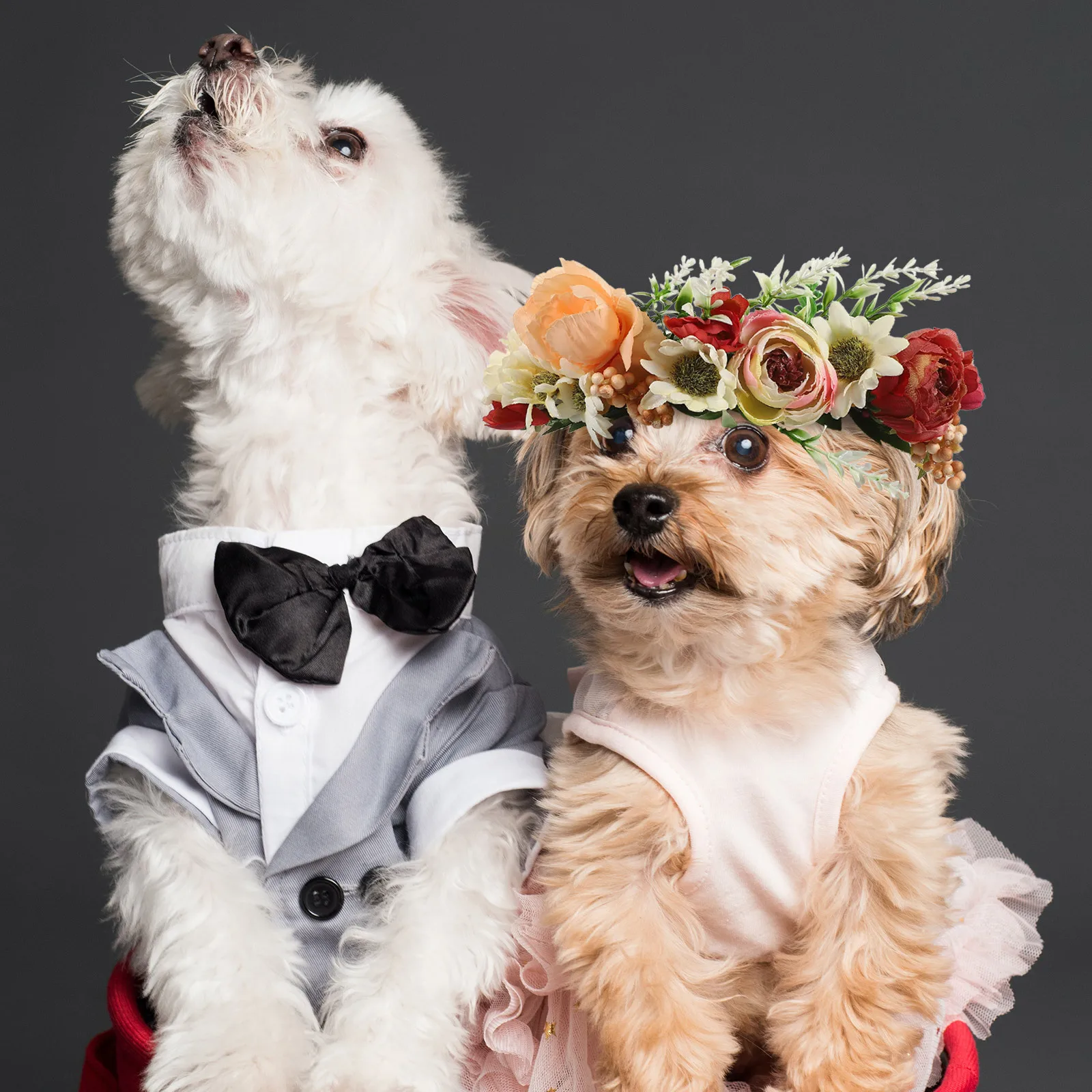 

Dog Wedding Flower Collar Adjustable Ribbon Design Artificial Floral Decor for Parties Holidays Dog Wedding Flower Collar