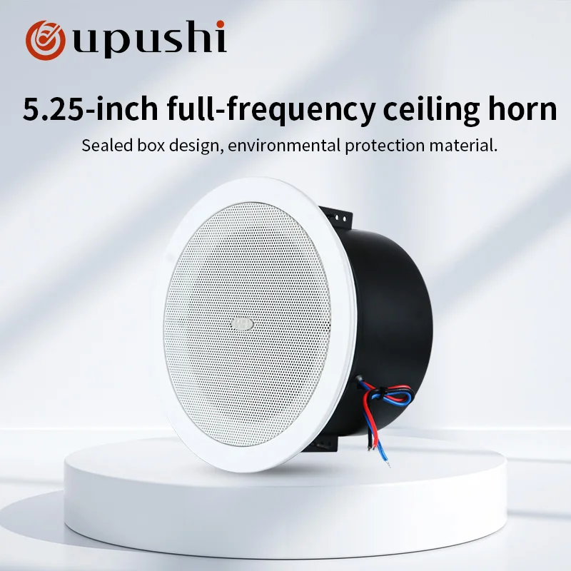 

5.25-inch TD206A with rear hood ceiling speaker 5W bathroom waterproof ceiling speaker bathroom ceiling sound system