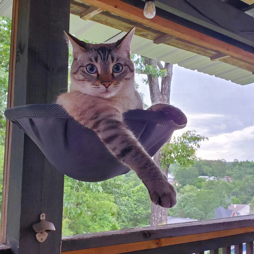 

Cat Window Perch Cordless Foldable & Stable Cat Beds-Breathable Cat Window Hammock for Overlooking Sunbathing and Climbing