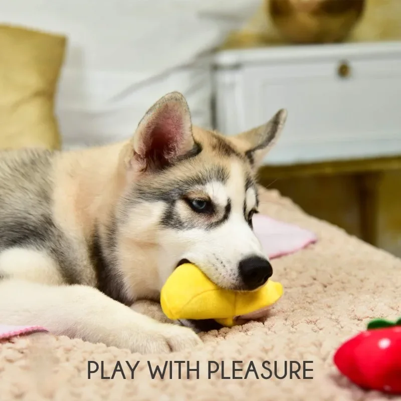 Pet Plush Squeaky Toy Bite-Resistant Clean Dog Chew Puppy Training Toy Soft Banana Bone Vegetable Fruit Pet Supplies