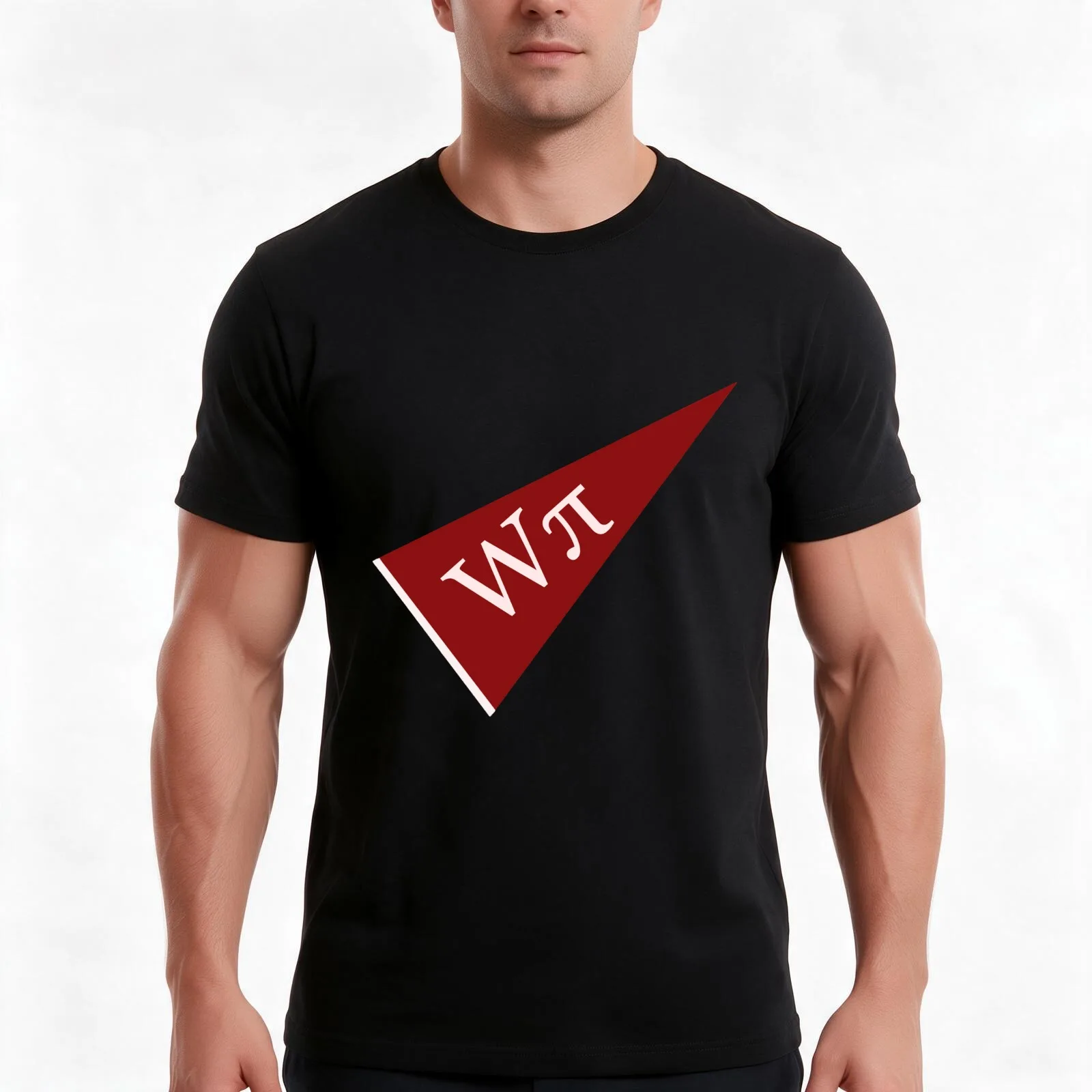 Worcester Polytechnic Institute WPI Pennant Pi Symbol T-Shirt, Summer Casual Cotton Tee, Oversized Streetwear Tops, 100% Cotton