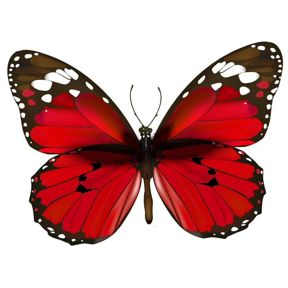

Red Butterfly Sticker Vibrant Love Design Pretty Beautiful Stickers Custom Decals Motorcycle Stickers Vinyl Decal