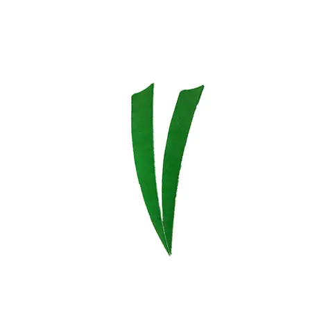 50 st. 5 tum naturliga kalkonfjädrar sköldskurna bågskyttefjädrar fjäderpilfjädring 5'' vingar röda 8 best sales bicaster bågskytte - №4