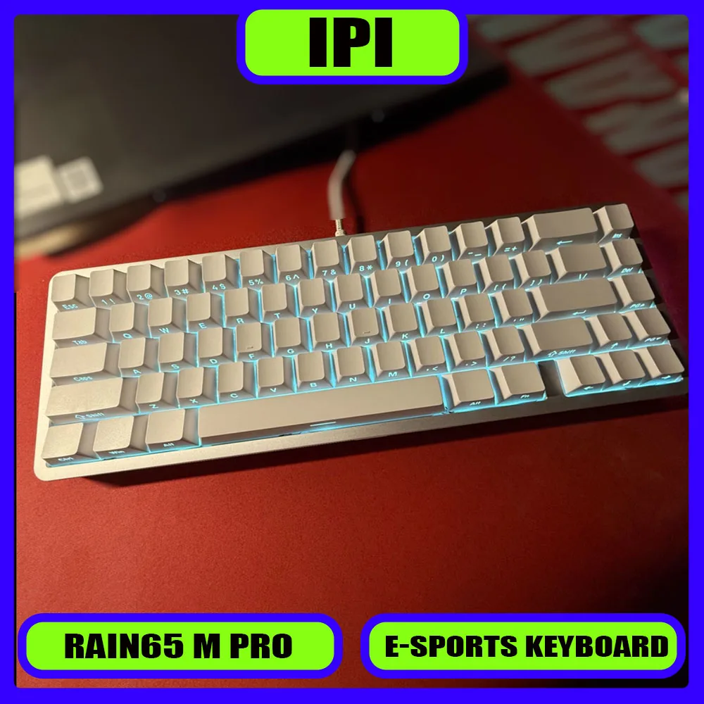 

IPI Rain65 Magnetic Switch Mechanical Keyboard Wired 8000Hz 0.125ms Delay Cnc Shell RGB Hot Swap Agile Gaming Keyboard Players