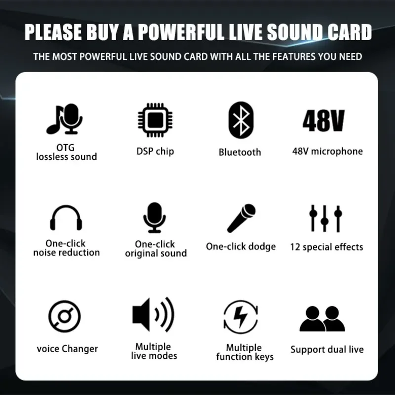 RAYHAYES A2 Live Sound Card U87 Condenser Microphone Set Cardioid Mic Studio Recording Equipment For Live Streaming Sing