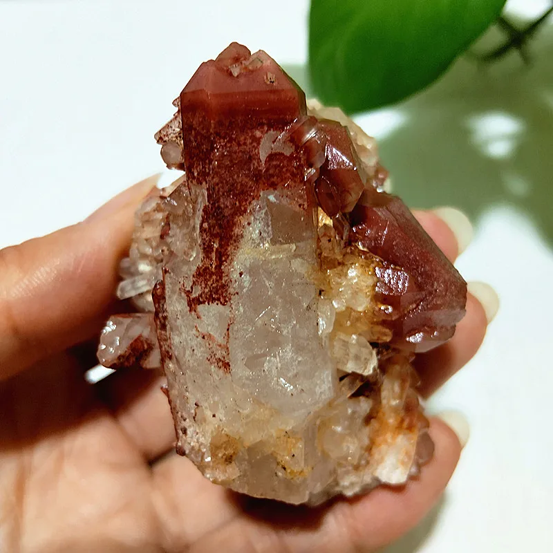 

Rare Natural Stone Red Quartz Crystal Cluster Mineral Specimen Wrapped Silver Mountai Meditation Powerful Feng Shui Room Decor