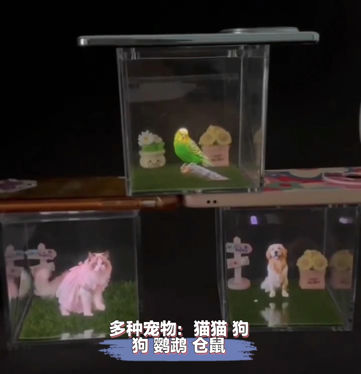 Pet holographic digital house, pet commemorative ornament, high light transmission material holographic image pet DIY