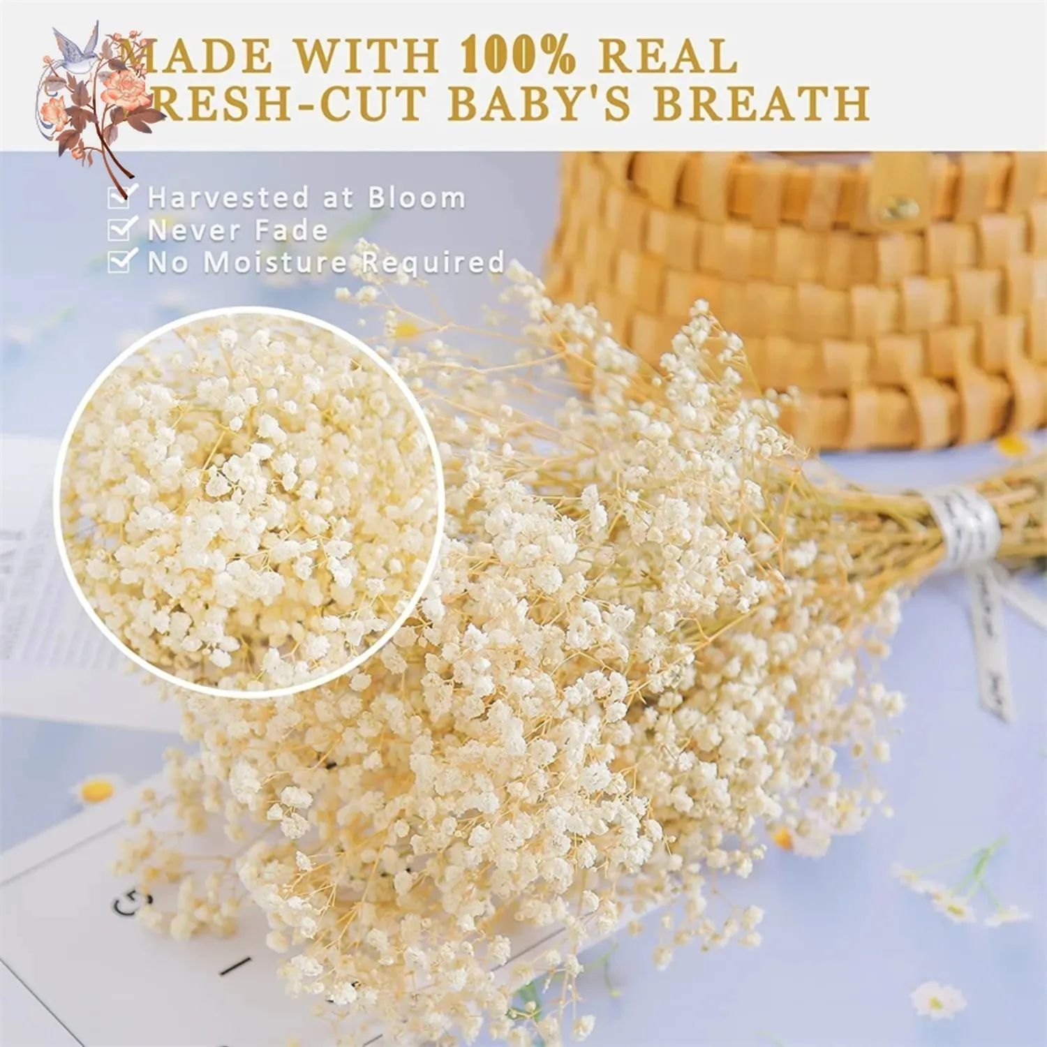 Thumbnail 2 - #62 Top Dried Flowers Picks for Every Budget