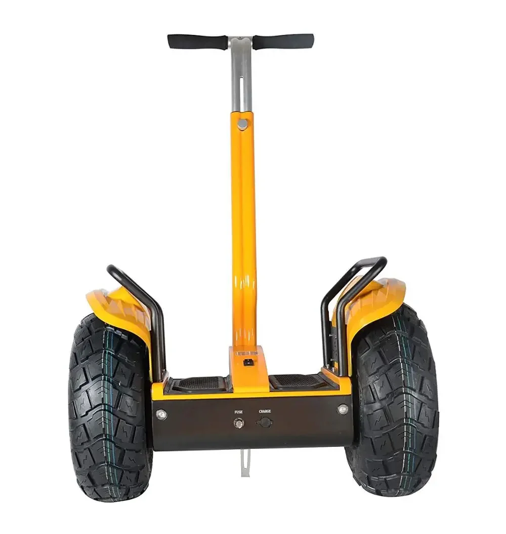 Popular 19 inch fat tire electric chariot covered 48V 2000W self balanced scooter