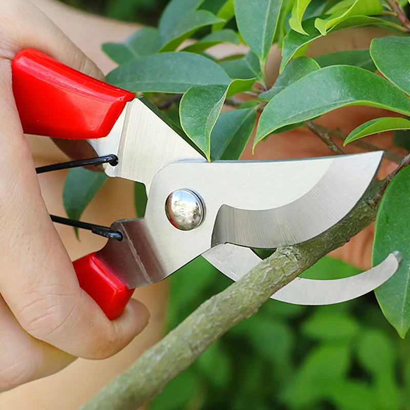 

Garden Pruning Scissors Stainless Steel Gardening Pruning Scissors Rough Branch Fruit Tree Branch Cutter Garden Tools