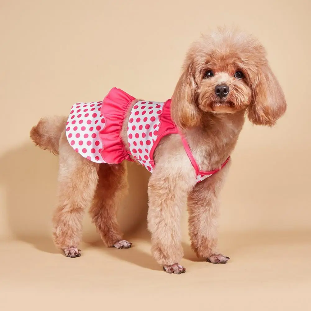 Dog Swimsuit Colorful Polka Dot Pet Swimsuit Set for Small Dogs Comfortable Beachwear Bikini Dress for Cats Cute Pet for Summer