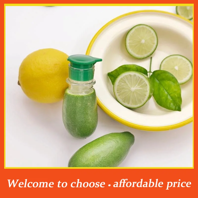 {}Portable Lemon Squeezer PP Resuable Lightweight Juices Reamer Washable Manual Juices Reamer Built In Filter For Home Travel