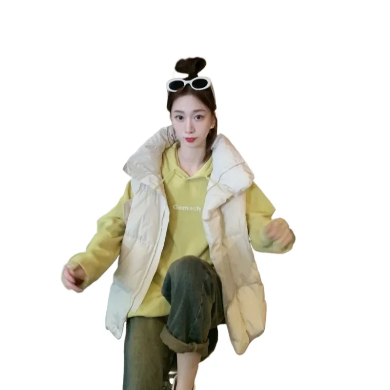 Autumn and Winter New Women's Loose Outer Vest Fashionable Internet Famous Down Cotton Vest Fashionable Casual Cotton Vest