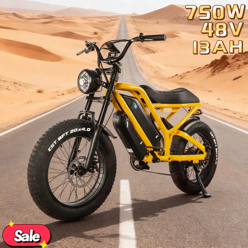 

750W electric bicycle with 20-inch tires,48V13AH lithium battery, fashionable E-bike,suitable for leisure sports and off-roading
