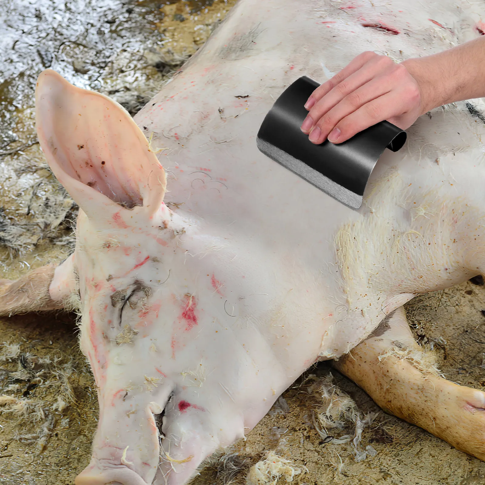 

2Pcs Manual Pig Hair Scraper Ergonomic Handle Metal Shaving Board for Supermarket Slaughterhouse Home Cooking Pig Hair Remover