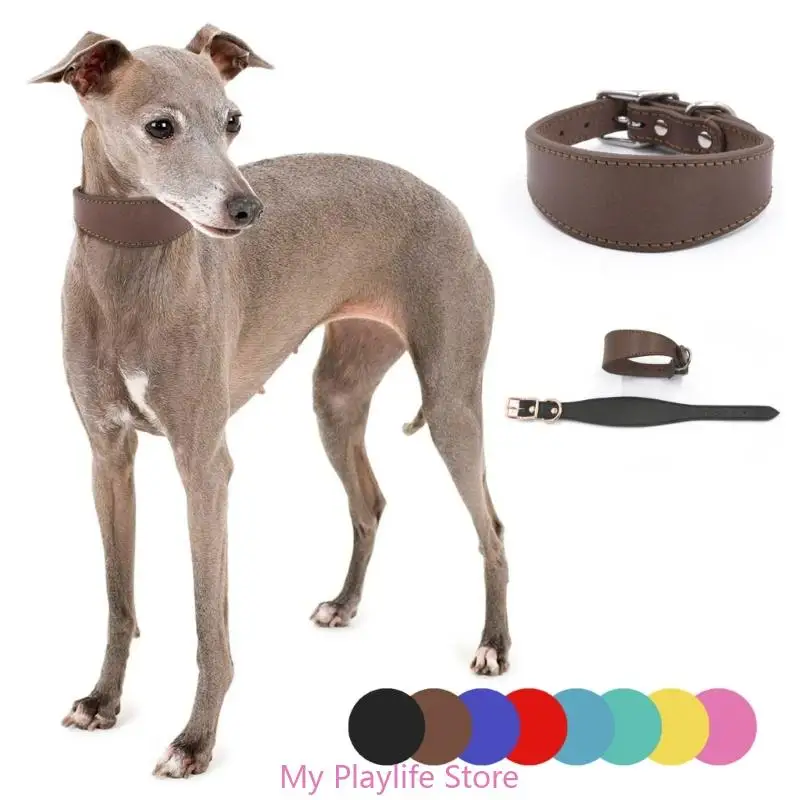 Collar Whippet Leather Soft Suede Pedded Wide Collars Lurcher and Italian Greyhound Saluki Sighthound Dog Supplies