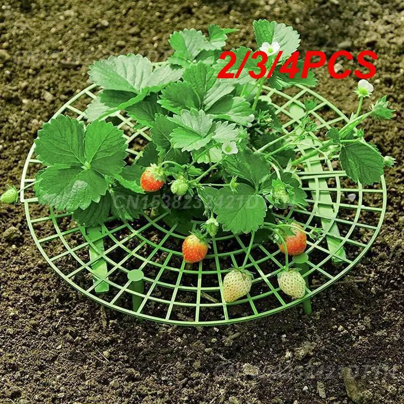 2/3/4PCS Garden Tools Protects Vines Innovative Strawberry Plant Protector Protecting Vines Gardening Exclusive