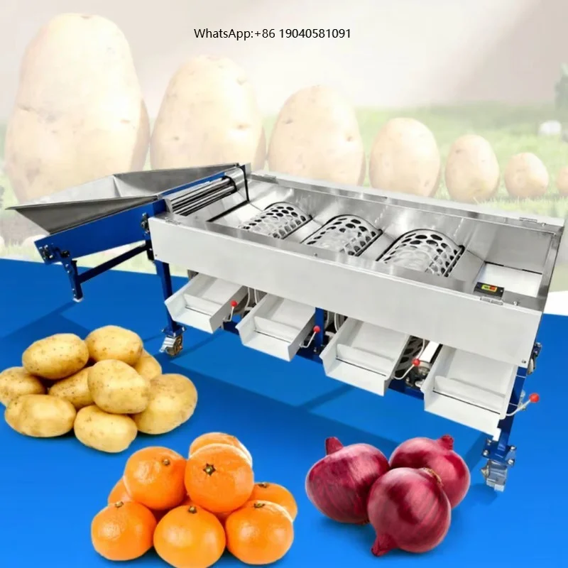 ORME Olive Potato Tomato Onion Sorter Machine Fruit Avocado Lemon  Strawberry Sort Grade Machine