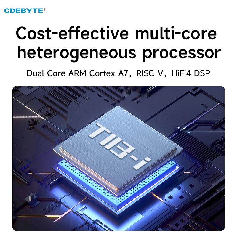 T113-i ARM Dual Core Industrial Grade CDEBYTE ECK30-T13IA2MN2M-I 256M DDR3 4K 1080P A7+RISC-V+DSP Display Low Power Stamp Hole