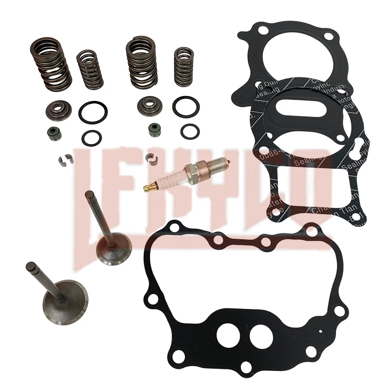 

Intake & Exhaust Valve Seal Spring for Honda Recon 250 TRX250 TE TM 2002-2023 Sportrax 250 TRX250EX 2001-2008 TRX250X 2009-2023