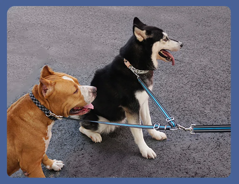 Nylon dog leash with one tow and two dog walking adapters, large dog double headed reflective pet leash