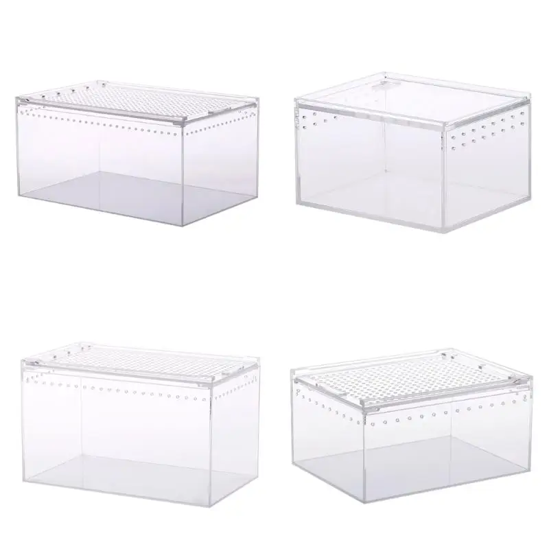 Q6PE Acrylic Feeding Box for Spider Crawling Feeding Clear Designed