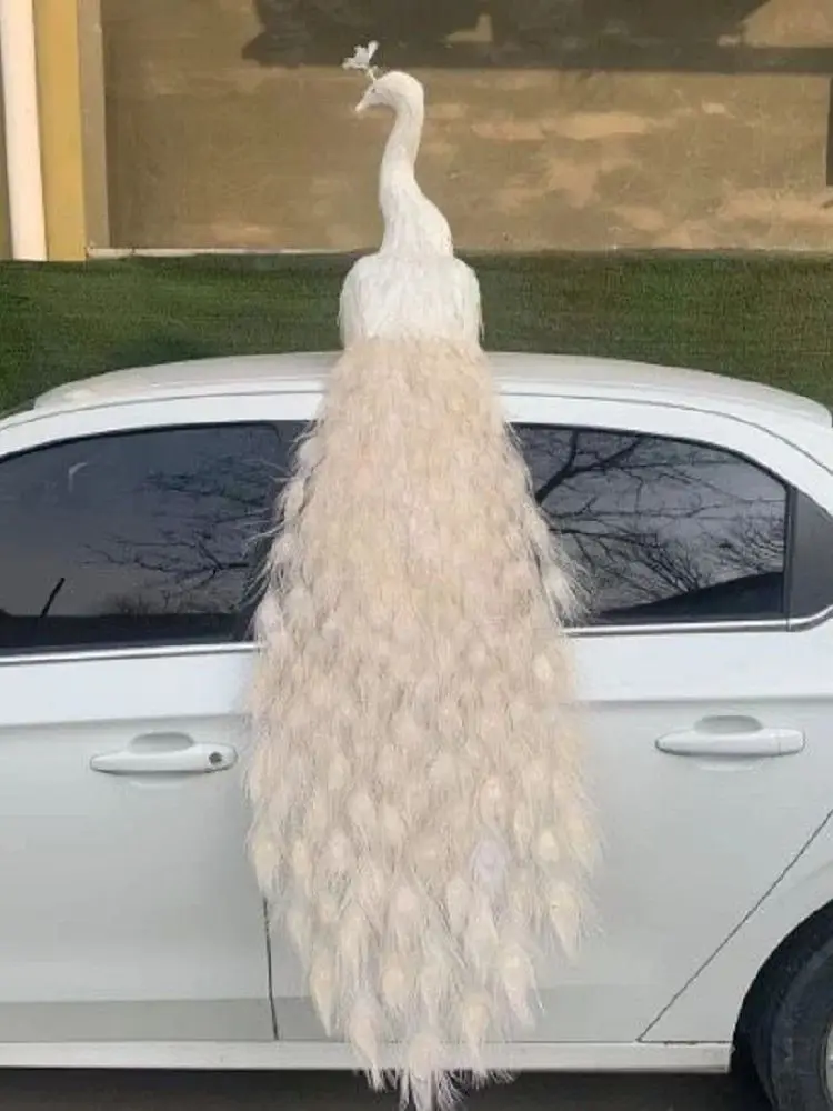 

huge white peacock model foam&feather beautiful peacock bird gift about 180cm d0492