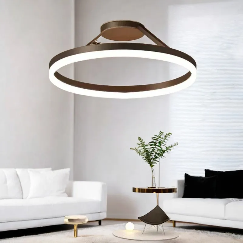 Nordic Design Simple Bedroom Ceiling Lamp Study Living Room LED Ring Warm Romantic Ring Chandelier Light Luxury Eye Protection