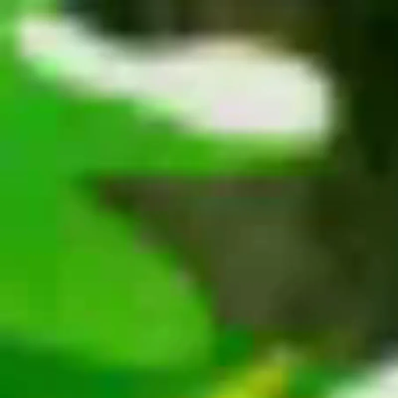 

10pcs Fashionable Octagonal Clear Window Gift Boxes For Flowers And Gifts, Birthday Wedding Valentine's Day