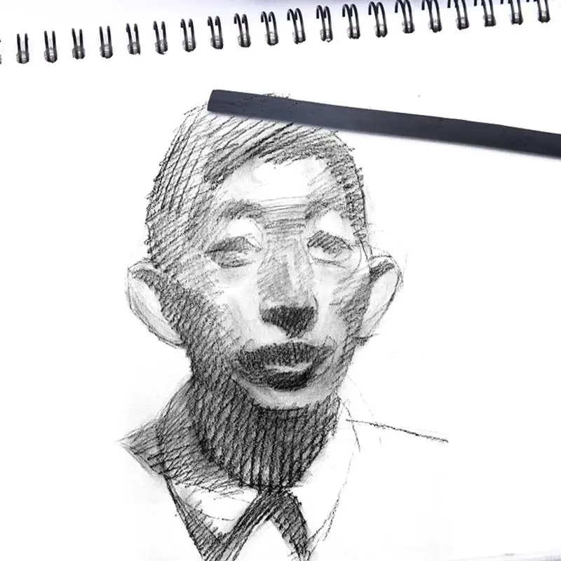 W91A 스케치 윌로우 숯 스틱 연필 매체 아티스트 십대 초보자 25 세트