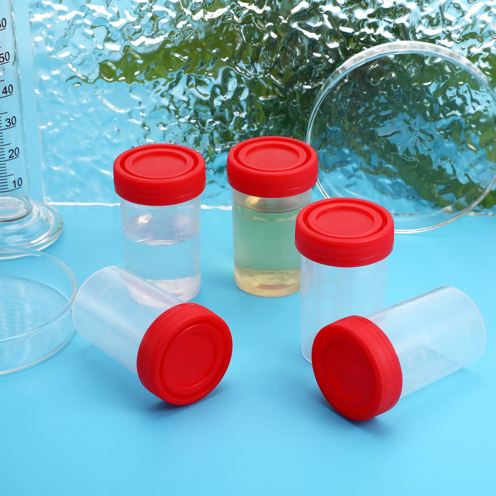 

10 Pcs Medical Urine Cup Sample Bottles Specimen for Cups Test The Pots with Lid Plastic