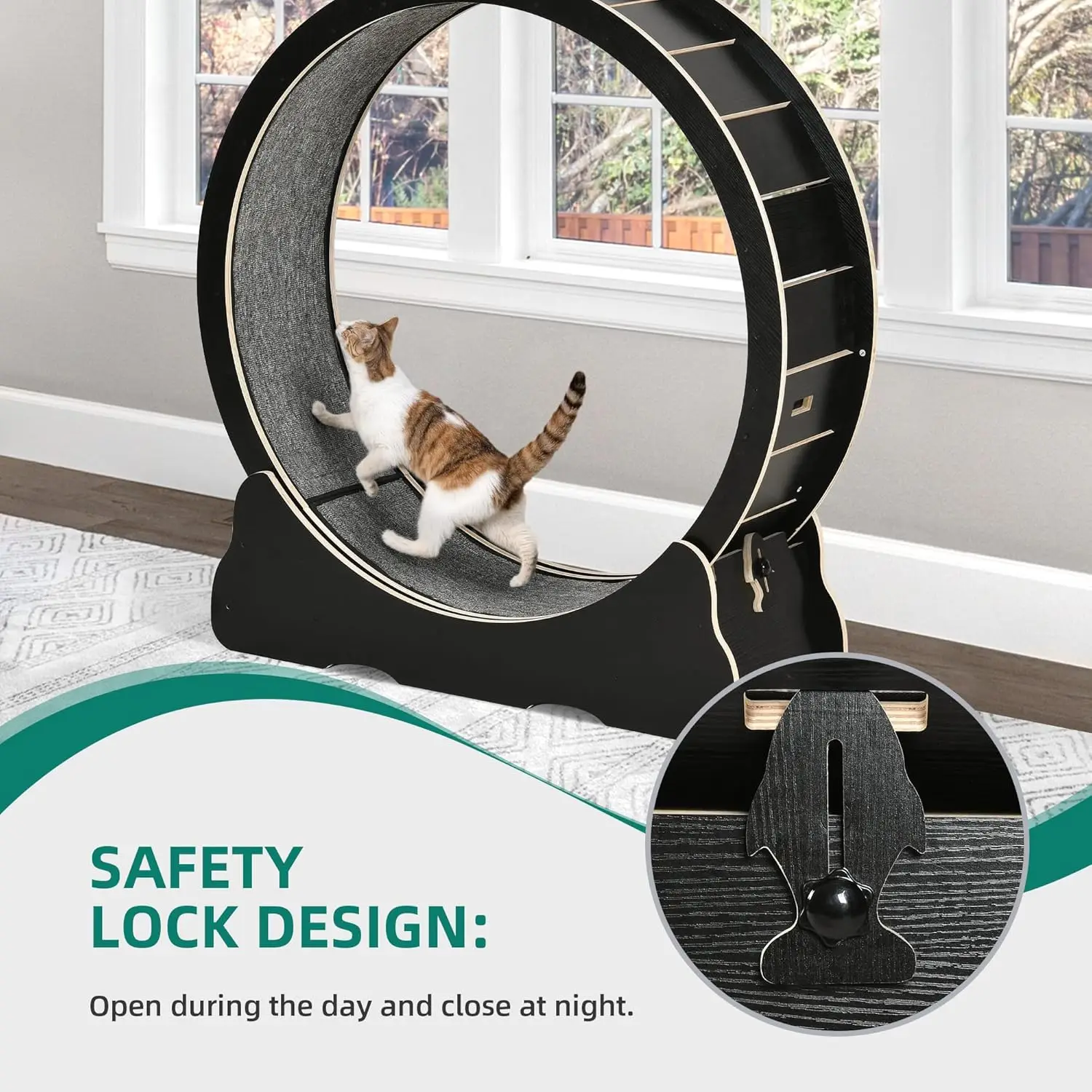 Grande roue d'exercice pour chat d'intérieur, tapis roulant pour chat avec sécurité, course silencieuse