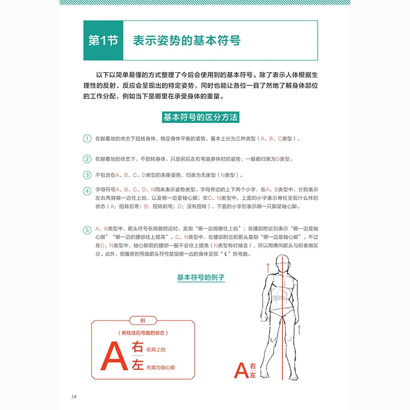 Character Pose Drawing Theorem Human Body Dynamic Drawing Structure Tutorial Reference Character Material POSE Sketch