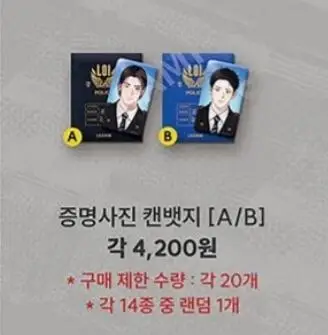 2025 팀 레진 플래시 세일 랜덤 컬렉션 포토카드/뱃지 180일 이내 발송 (선주문)