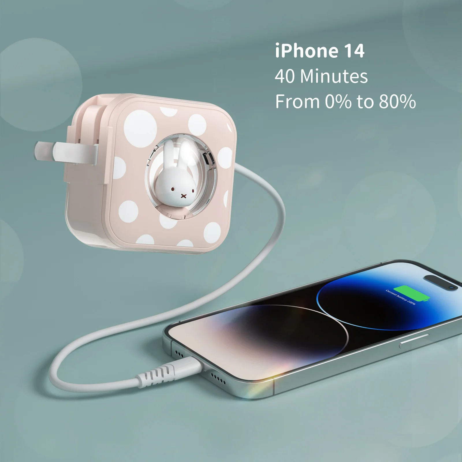 Miffy 30W PD Power Adapter Wall Charger USB C Wall Charger Quick Charge  Adapter For iPhone Xiaomi  Samsung Type C Chargers Cute