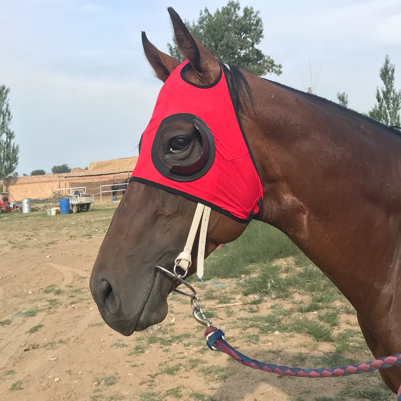 Alta qualidade arnês suprimentos arnês capa à prova de vento máscara de olho velocidade óculos de corrida com máscara de malha tracoma-prova de cabeça de cavalo capa