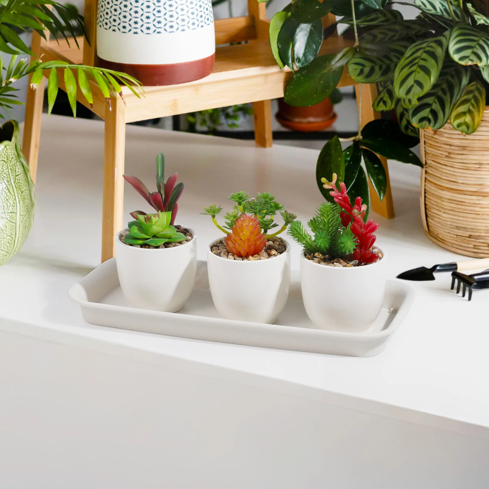 

5pcs Rectangular Water Tray for Plant Pots Clear Extra Small Plastic Long PP Heat Resistant Easy Clean Beige Flower