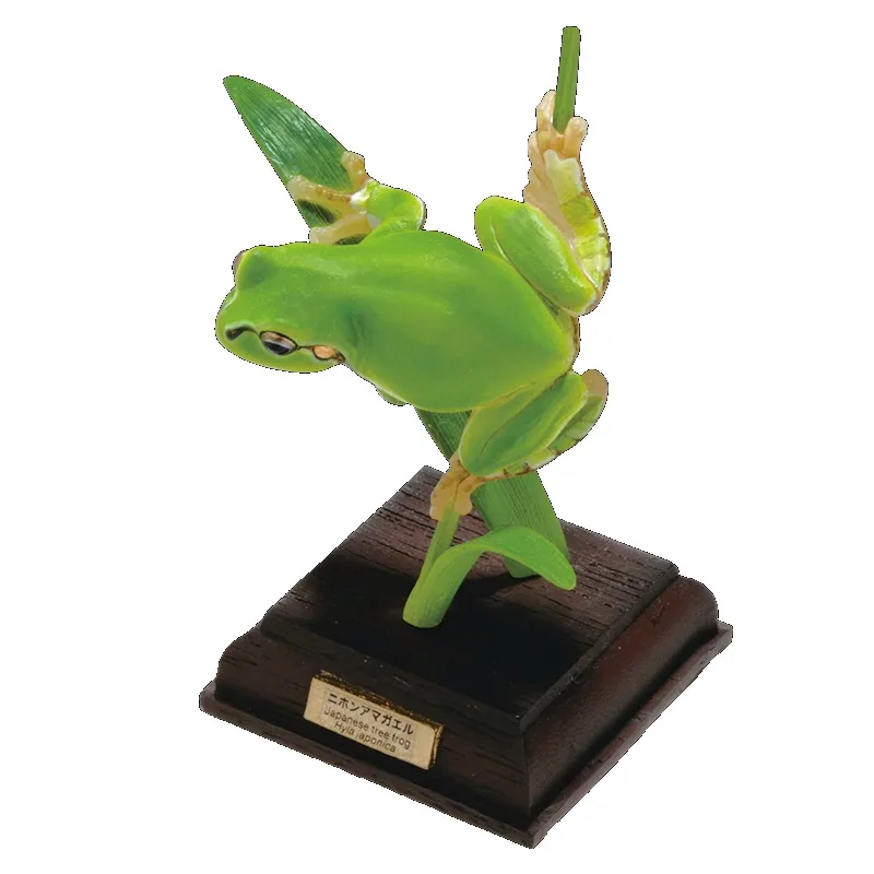 Original KITAN CLUB Gashapon Frog Toad Qversion Mini Anime Animal Action Figure Model Toys Gifts Cartoon Character Collection