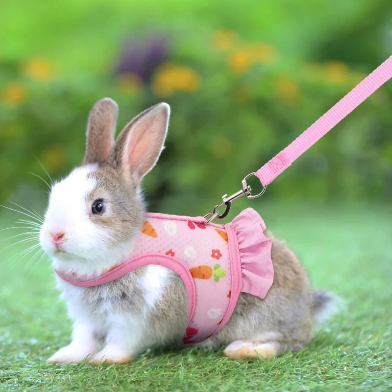 Rabbit Harness with Leash Cute Adjustable Buckle Breathable Mesh Vest Skirt for Bunny Guinea Pig Small Pet Traction Harness Suit