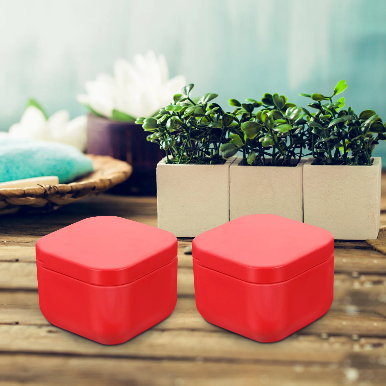 

2Pcs Aromatherapy Small Tins Tinplate Box Strong Durable DIY Craft Organizer for Candies Beads Buttons Coins Spices