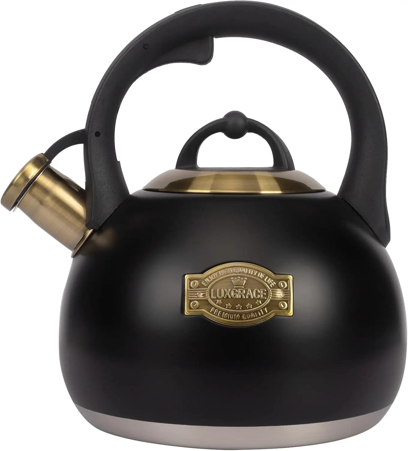 

Stainless Steel Stovetop Tea Kettle with Whistle, 3.1 Quart for Home Kitchen
