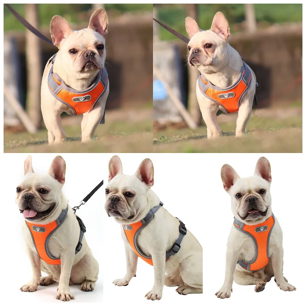 Breathable Mesh Dog Harness Small Big Dog Harness Chest for Large Dog Vest Dog Accessories Pet Supplies French Bulldog Chiens