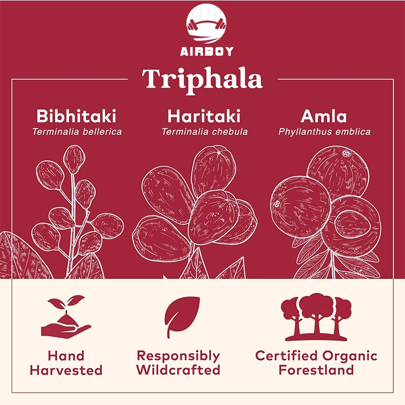 Triphala - Balances Intestinal Health, Promotes Digestive Comfort, Antioxidants