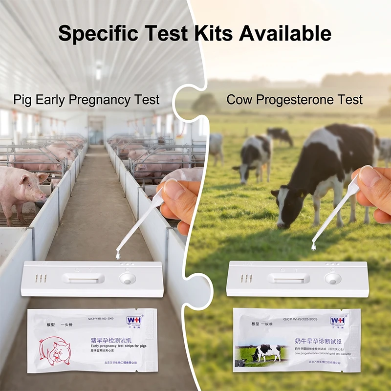 10pcs Livestock Early Pregnancy Test Strips for Pigs and Cows Cow Pregnancy Test Kit Farm Animal Breeding Detection Tools