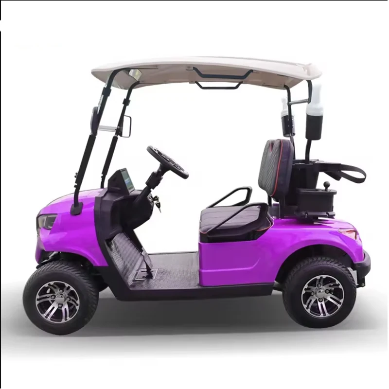 Wholesale Beautiful Durable Golf Cart Electric Utility Vehicle Golf Hunting Buggy 2  4Seater Golf Cart