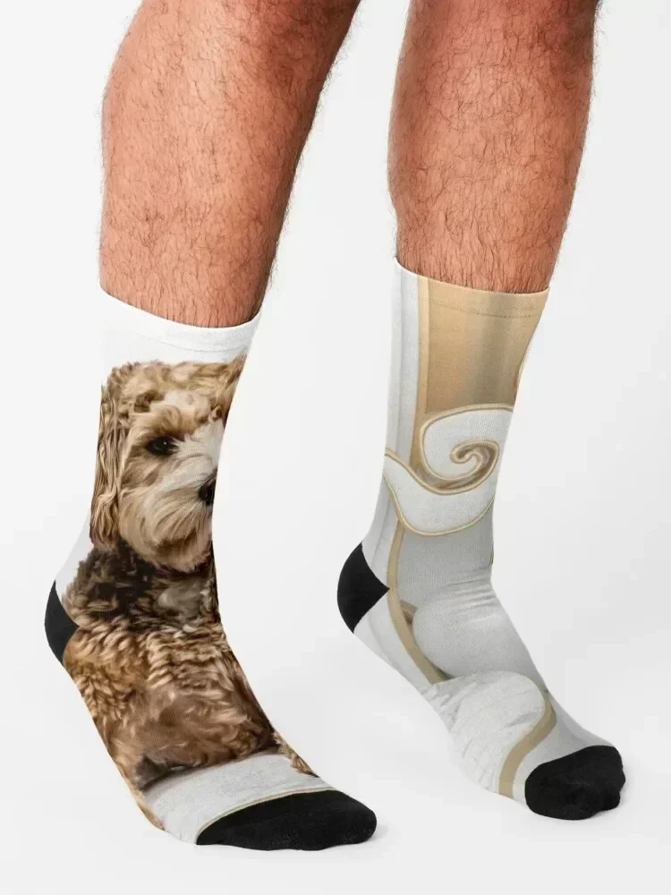 Goldendoodle Golden Background Photo Collage Socks Toe sports new in's floor professional running Girl'S Socks Men's