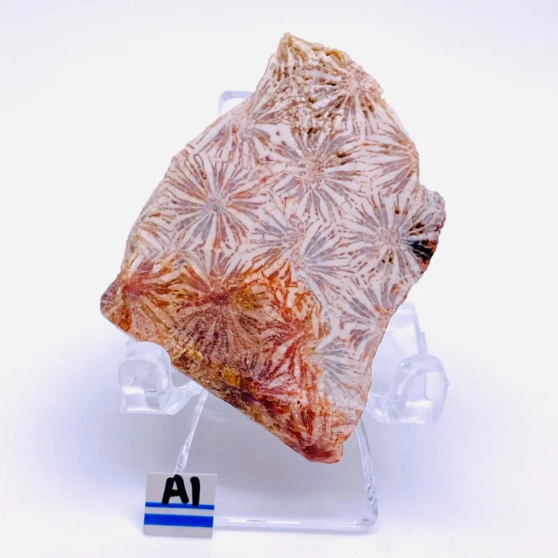 Natural Sunstone Chrysanthemum Stone Crystal Cluster Raw Mineral Specimen Healing Reiki Home Decor